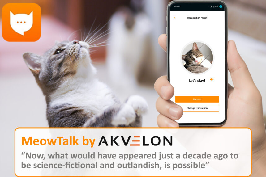 Meowtalk Akvelon's Webinar on MeowTalk Cat Communication App