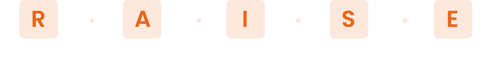 RAISE: Reliability, Adoption, Integration, Security, Efficiency